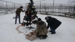 В крымском парке львов «Тайган» устроили новогодний утренник для тигрят (видео)