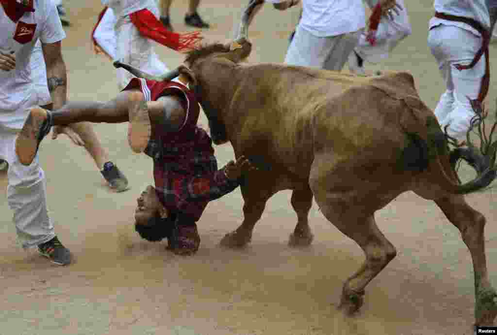 İspaniyada San Fermin festivali davam edir