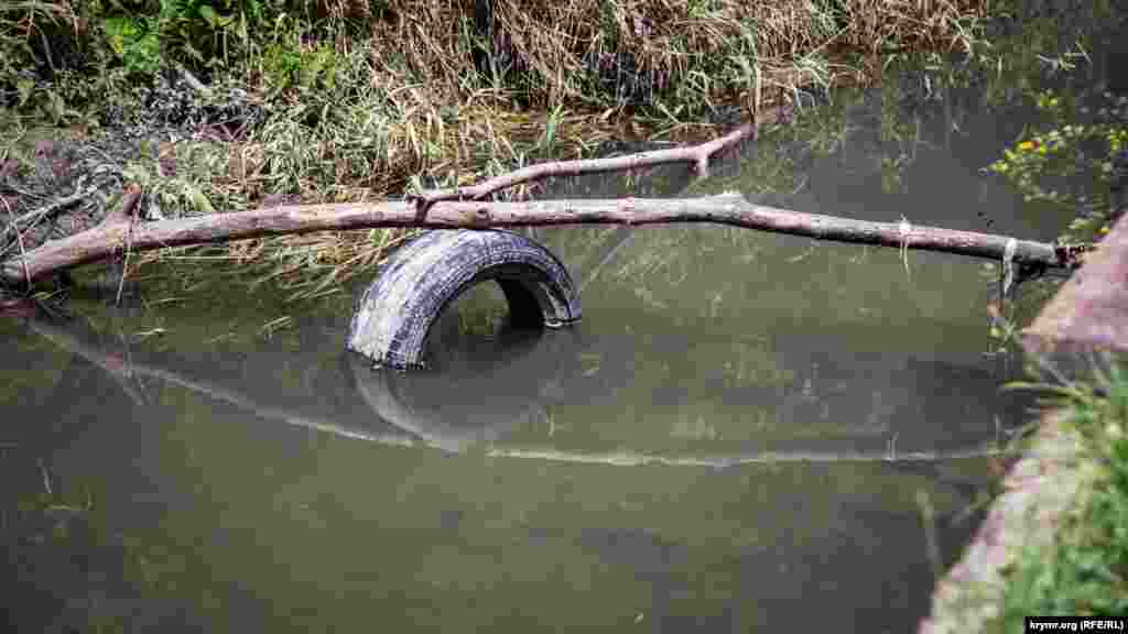 А в воде нередко можно увидеть разнообразный мусор