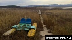 Тайганский водоем в районе Белогорска. Ноябрь 2016 года